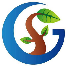 G logo