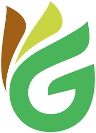 G logo