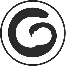 G logo