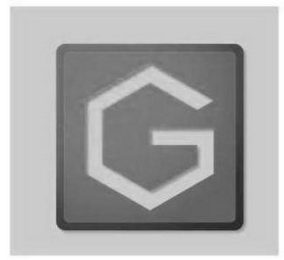 G logo