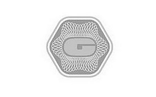 G logo