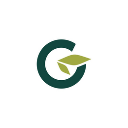G logo