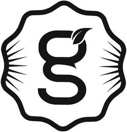 G logo