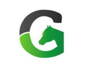 G logo