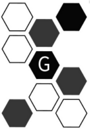 G logo