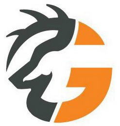 G logo