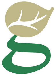 G logo