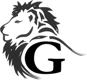 G logo