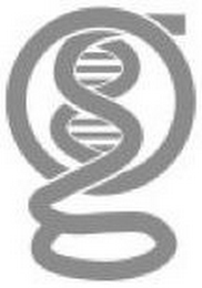 G logo
