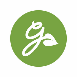 G logo