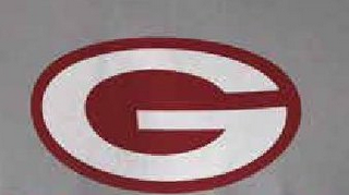 G logo