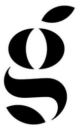 G logo
