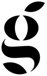 G logo