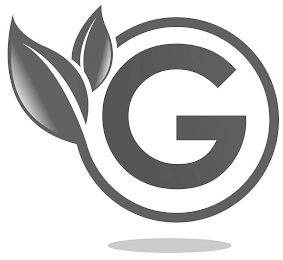 G logo