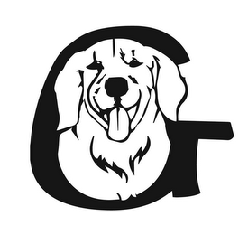 G logo