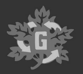 G logo