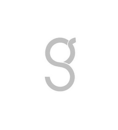 G logo