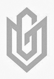 G logo