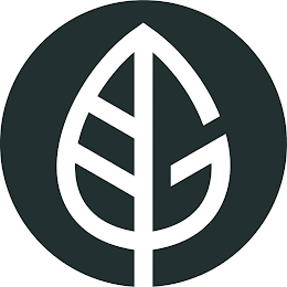 G logo