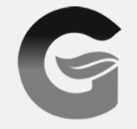 G logo