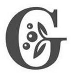 G logo