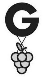 G logo