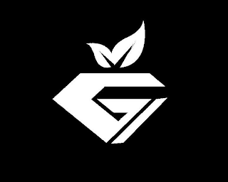 G logo