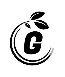 G logo