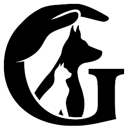 G logo