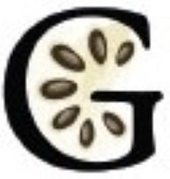 G logo