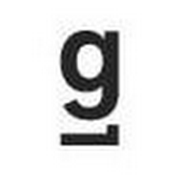 G logo