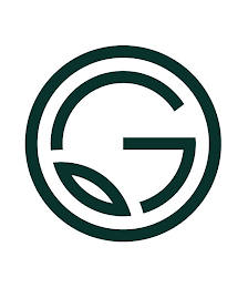 G logo