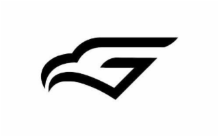G logo