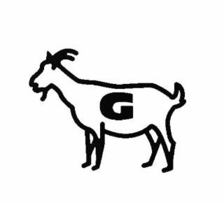 G logo