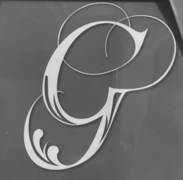 G logo
