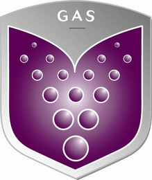 G A S logo