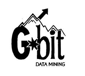 G-BIT DATA MINING logo