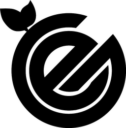 G E logo