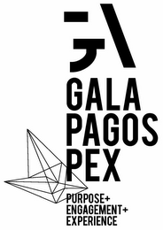 G GALAPAGOS PEX PURPOSE+ENGAGEMENT+EXPERIENCE logo