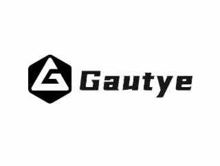 G GAUTYE logo