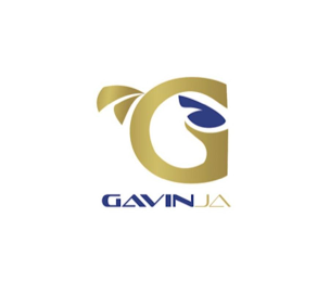 G GAVINJA logo