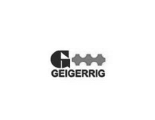 G GEIGERRIG logo