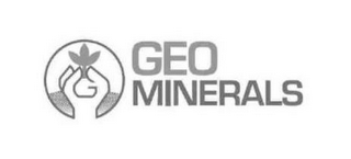 G GEO MINERALS logo