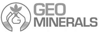 G GEO MINERALS logo