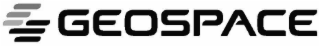 G GEOSPACE logo