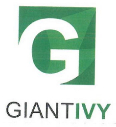 G GIANTIVY logo