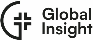 G GLOBAL INSIGHT logo