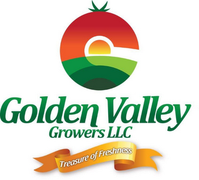G GOLDEN VALLEY GROWERS LLC TREASURE OF FRESHNESS logo