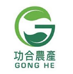G GONG HE logo