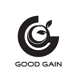 G GOOD GAIN logo